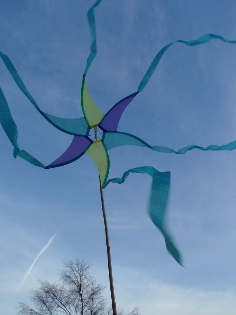 photo Blowin in the wind 2.jpg