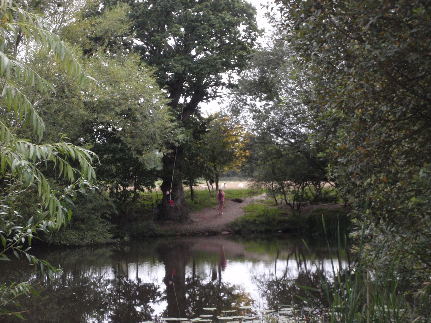 photo Braving the ropeswing.jpg