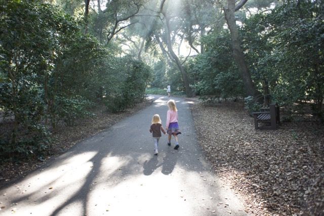  photo DSC00458_1024.jpeg