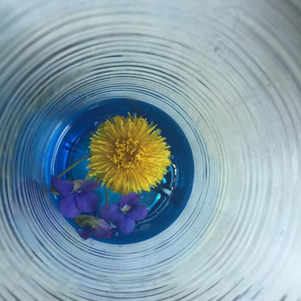 photo AlexPolikowskyFlower.jpg
