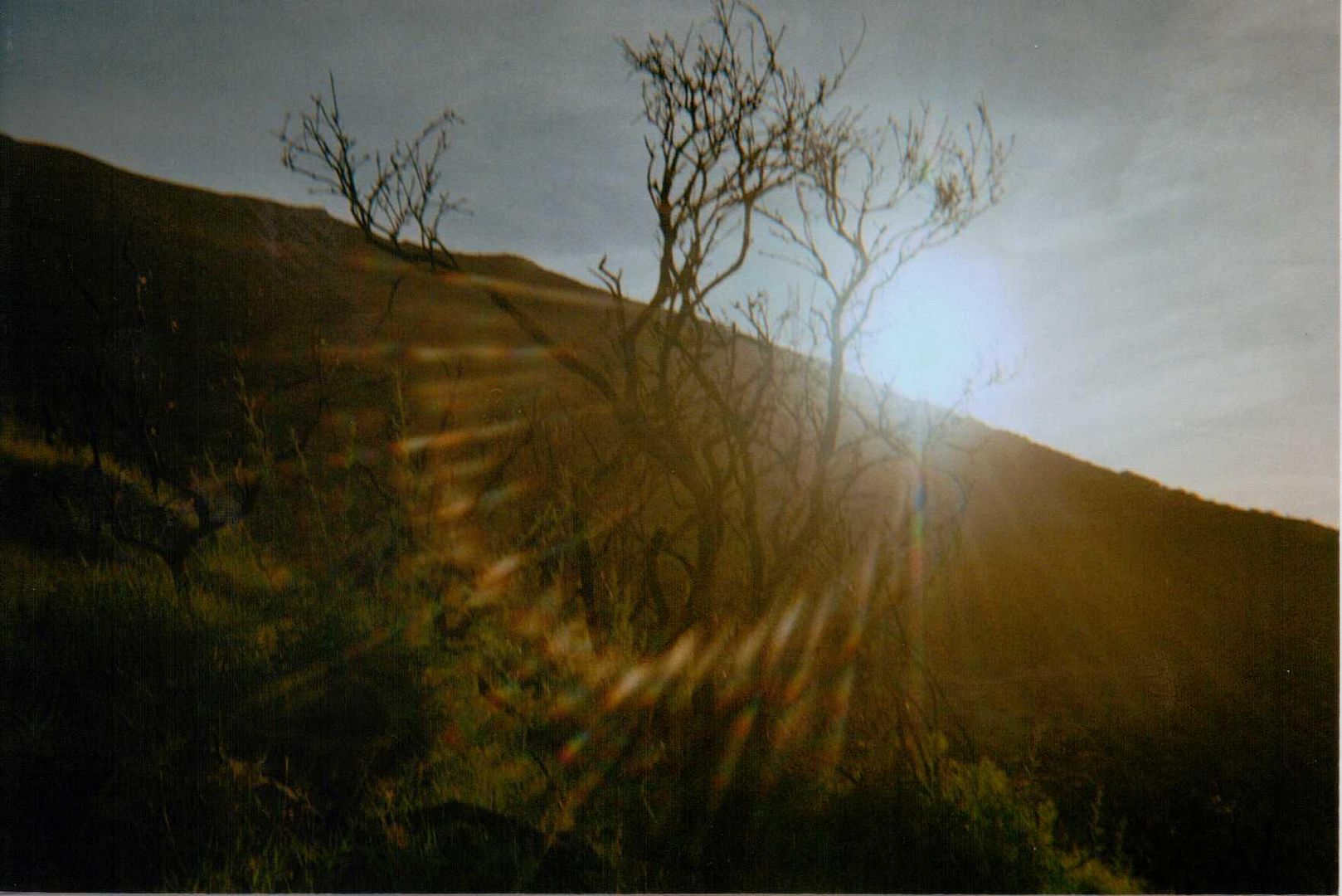  photo Stromboli14.jpg