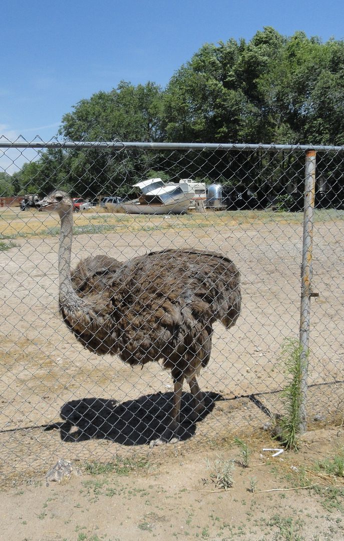 10/3/15 Conversational support photo DSC00056.jpg