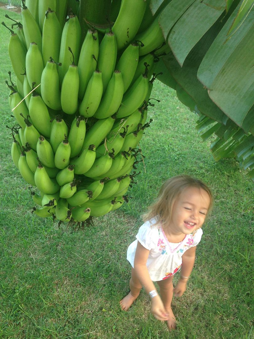  photo Banana_Giggles.jpg