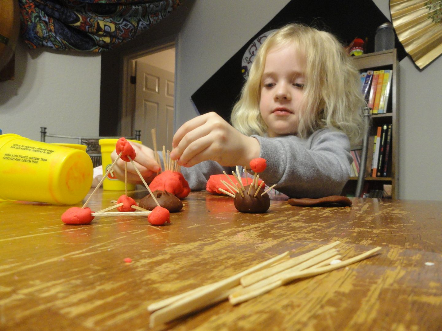 photo DSC09995.jpg
