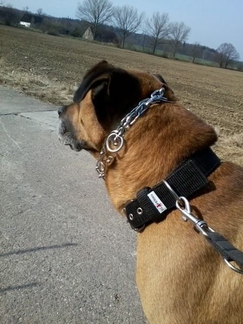 1498d11b-0333-4c9c-a059-47bc9e344300_zps