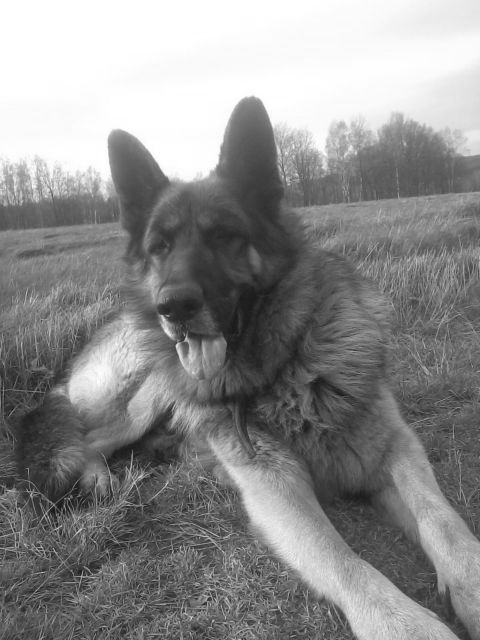 a08ed452-0e10-47bc-a8de-ff899a46d1ff_zps