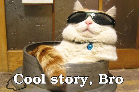 157486_cat_cool_story_bro3_zps6fd1c802.j