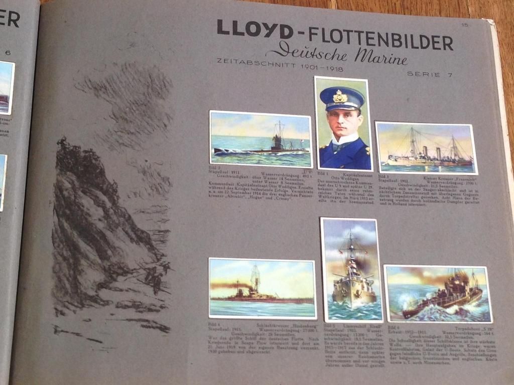  photo 11_zpsedldfiux.jpg