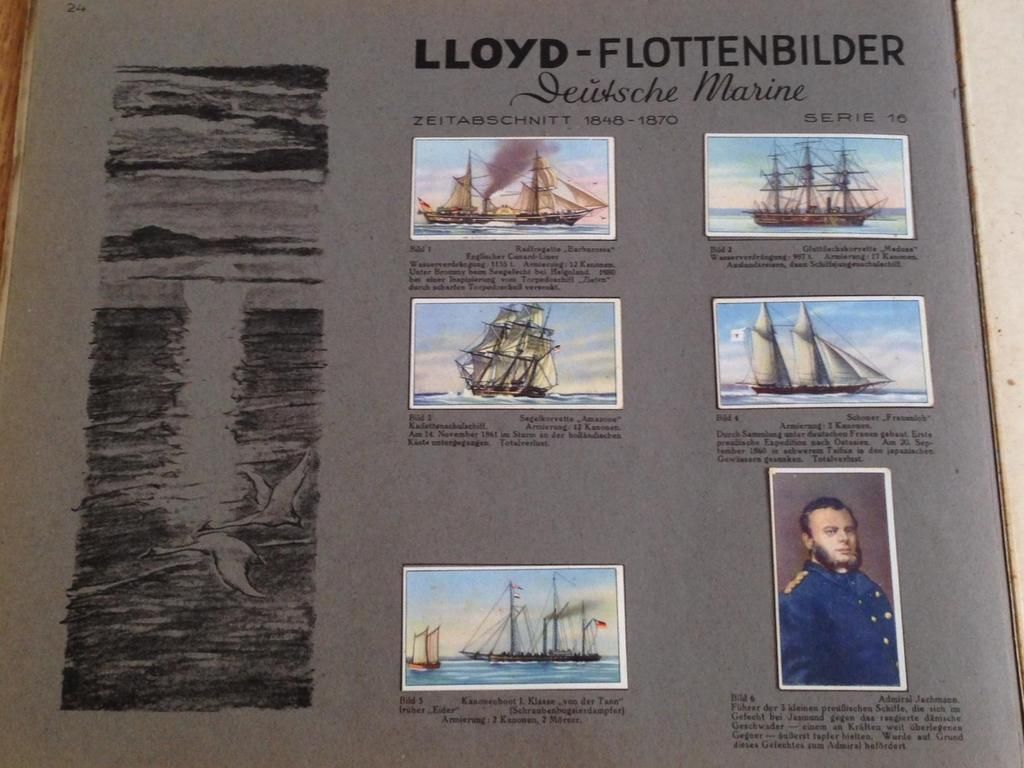  photo 16_zps2i5ha62c.jpg