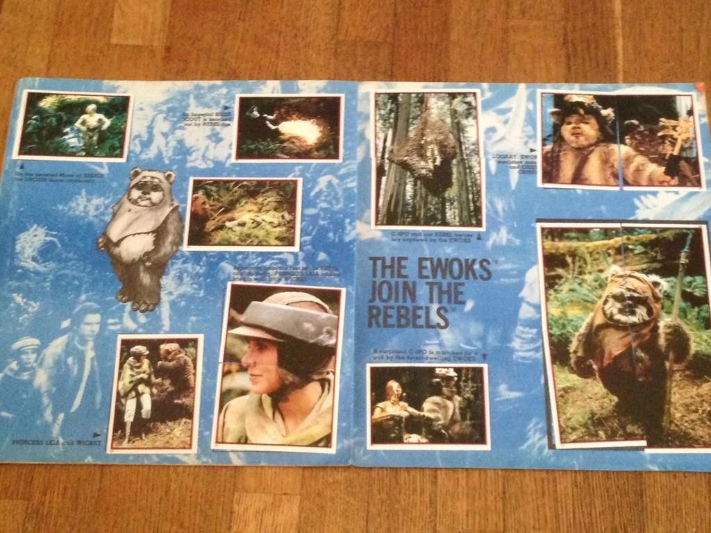  photo 11_zpsiuibxga1.jpg