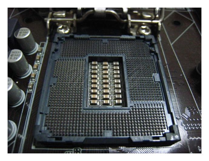 IMG_7051Copy_zpseeac7e98.jpg~original