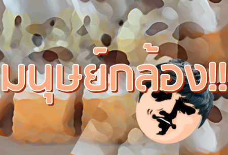 มนุษย์กล้อง คืออะไร