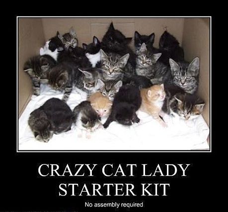 crazy-cat-lady-starter-kit_zpsfb80004a.jpg