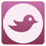  photo twitter_zps76b5534d.png