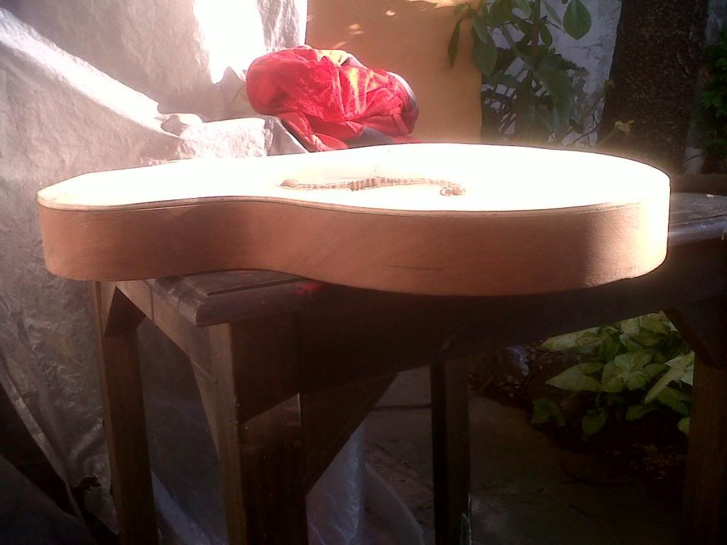 IMG00224-20121019-1743.jpg