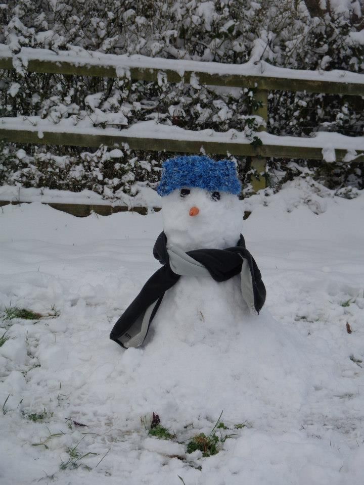 SnowmanJan13_zps18d2af11.jpg