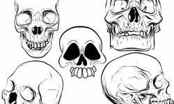 Iconos, Póster, Flyer, Vectores sobre Gráficos de Halloween gratis para descargar 29