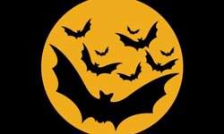 Iconos, Póster, Flyer, Vectores sobre Gráficos de Halloween gratis para descargar 9