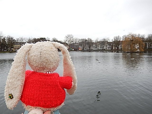 http://i1274.photobucket.com/albums/y436/strunki/04-01-14%20Benrath/DSCN1960_zpse1ce51b6.jpg