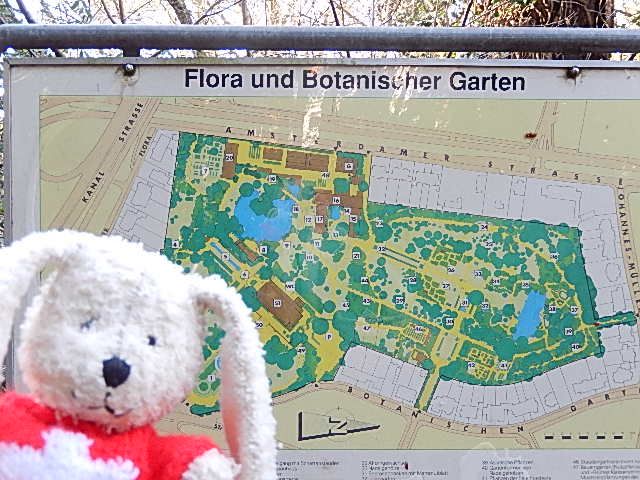http://i1274.photobucket.com/albums/y436/strunki/12-01-14%20Flora/DSCN2035_zps29c163b0.jpg