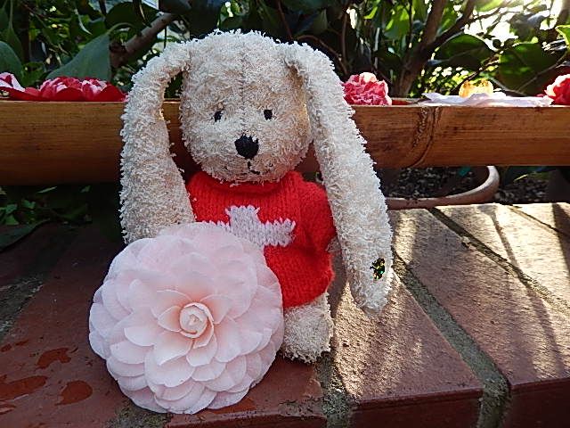 http://i1274.photobucket.com/albums/y436/strunki/12-01-14%20Flora/DSCN2219_zpsc234e5e2.jpg