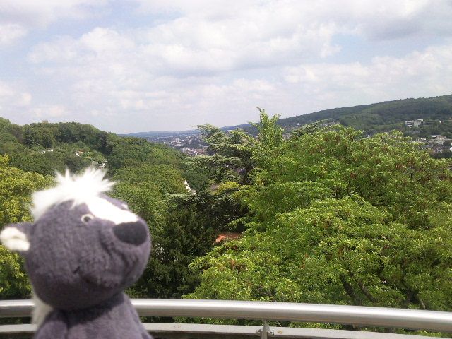 http://i1274.photobucket.com/albums/y436/strunki/17-08-13%20Elisenturmfest/Foto6695_zpsa28f3243.jpg