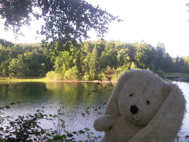 http://i1274.photobucket.com/albums/y436/strunki/28-09-13%20Eschbachtalsperre/Foto7666_zpsb07ed58f.jpg
