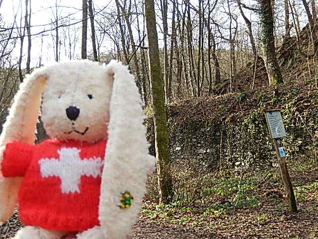 http://i1274.photobucket.com/albums/y436/strunki/31-12-13%20Hammertal%20Eschbach/DSCN1772_zps9d27ad23.jpg