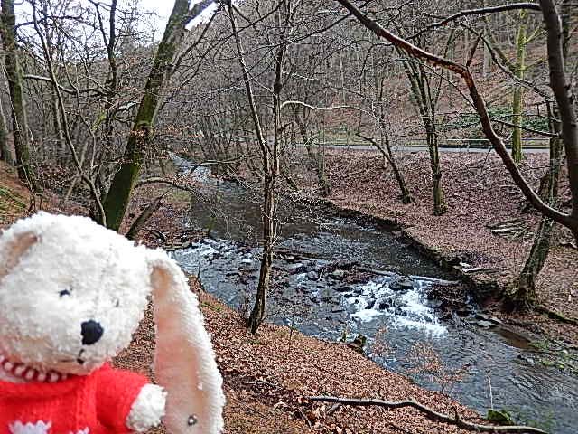 http://i1274.photobucket.com/albums/y436/strunki/31-12-13%20Hammertal%20Eschbach/DSCN1801_zps6d438342.jpg