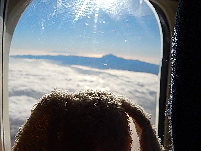 http://i1274.photobucket.com/albums/y436/strunki/7-01-14%20Airport-Flug-Ankunft/27-01-14%20Airport-Flug-Ankunft/DSCN2561_zps9c44a4f0.jpg