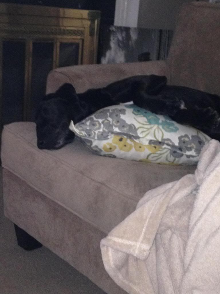 photo photo2_zpse5df4e2f.jpg