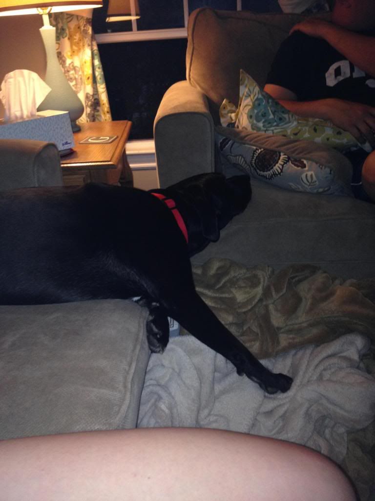 photo photo3_zps7665748e.jpg