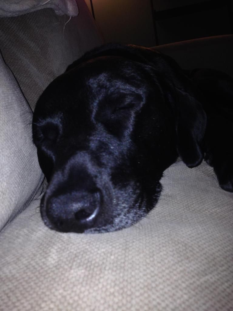 photo photo4_zps2f41eca1.jpg