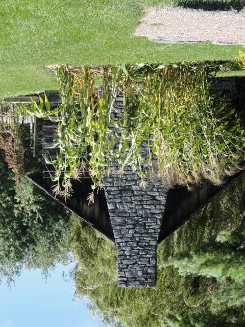 photo DSC01030.jpg