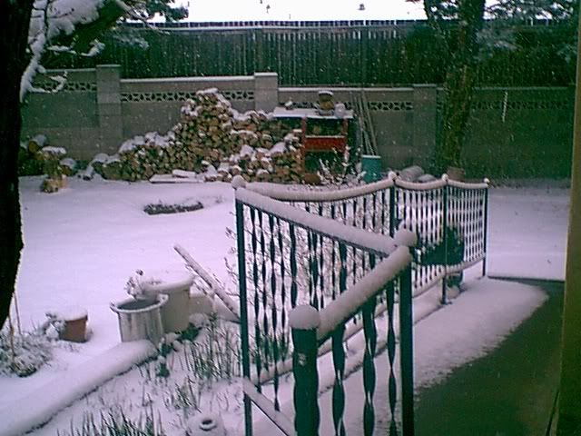 photo snowfence.jpg